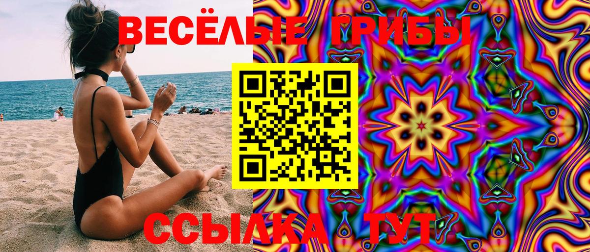 Псилоцибиновые грибы Psilocybe  Вход с VPN  Псилоцибиновые грибы Psilocybine cubensis  Павлово 